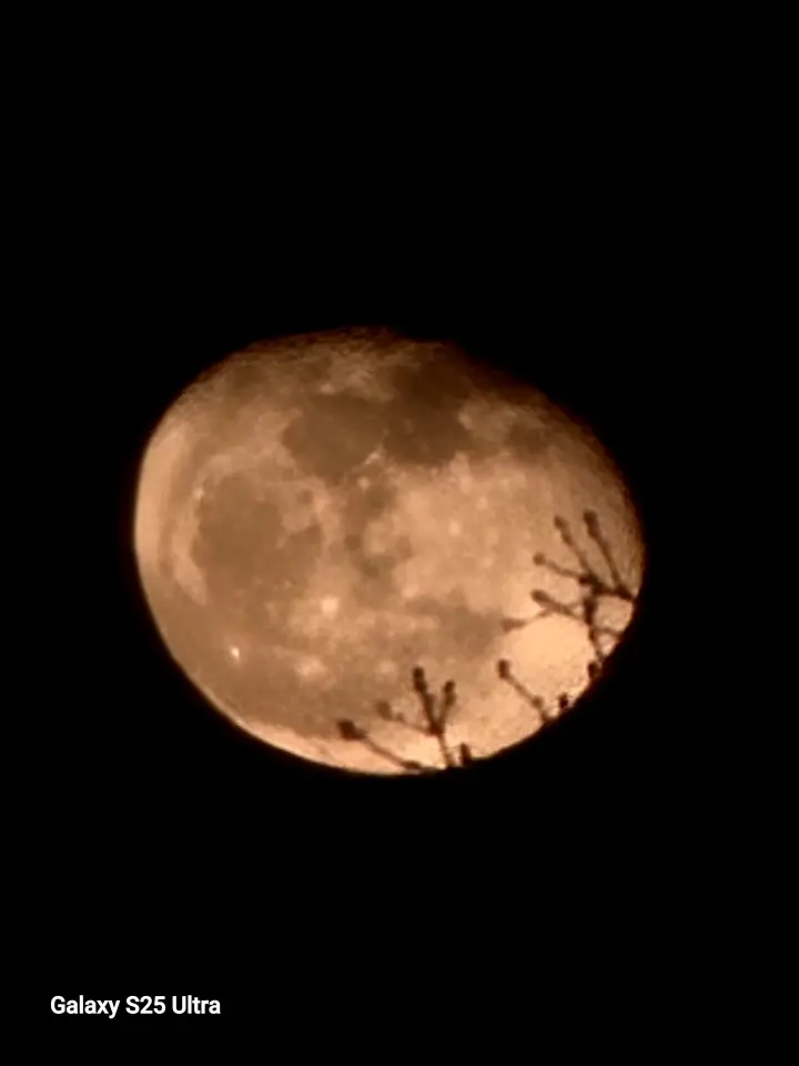 Viyana Semalarında Sessiz Görsel Şölen: Kızıl Ay Neden Belirdi?